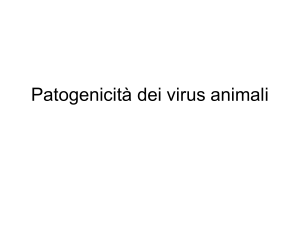 Patogenicità dei virus - e