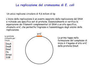 Presentazione di PowerPoint - Università degli Studi di Roma "Tor