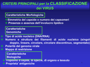 lez2 - Università degli Studi di Roma "Tor Vergata"