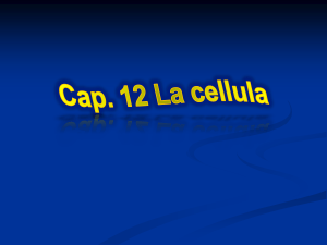 Le cellule - Atuttascuola