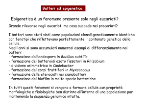 Diapositiva 1 - e