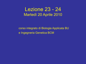 Lez_23-24_Bioing_20-4
