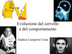 Evoluzione del cervello File - e