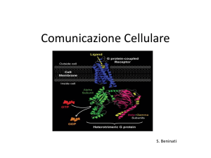Comunicazione Cellulare e trasduzione del segnale