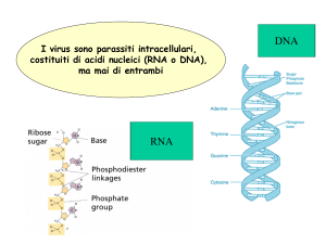 Virologia 2