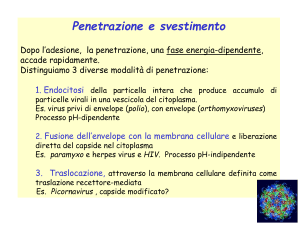 Presentazione di PowerPoint