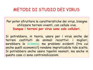 Presentazione di PowerPoint