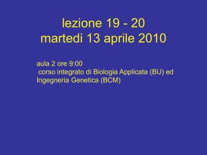 Lez_19-20_Bioing_13-4-10 - Università degli Studi di Roma "Tor