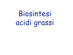 13_biosintesi_ac_grassi