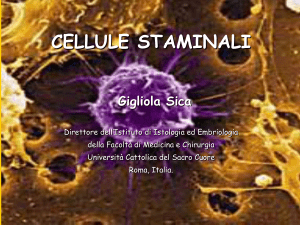 G. Sica-Cellule staminali