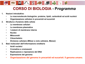 Biologia8_Genomi