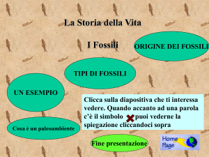 La Storia della Vita I Fossili