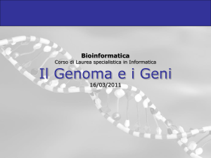 2-Genoma_e_geni_2011 - Dipartimento di Matematica e