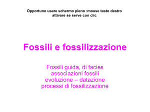 Fossili - Digilander