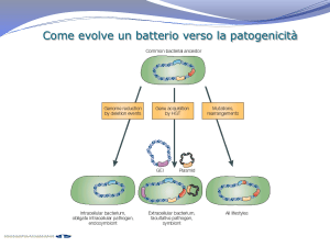 Diapositiva 1 - e