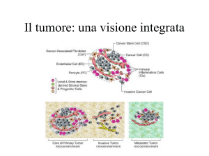 Tumor_cell_properties