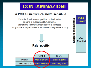 PCR - Docenti.unina