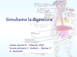 Simuliamo la digestione - Istituto Comprensivo Spinea 1
