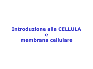diapositive "cellula e membrana cellulare"