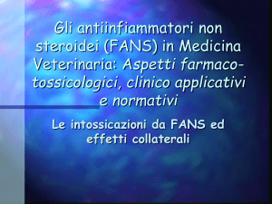 FANS - Docenti.unina