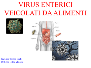 Virus - Docenti.unina