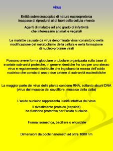 Diapositiva 1 - Progetto e