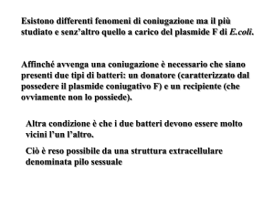 Nessun titolo diapositiva - e