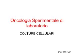 7._COLTURE_CELLULARI_TUMORALI