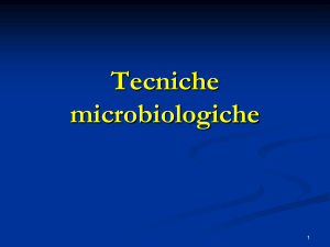 19 tecniche microbiologiche File - e