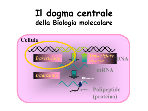 Diapositiva 1 - Docenti.unina