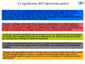 Diapositiva 1 - Università degli Studi di Roma "Tor Vergata"