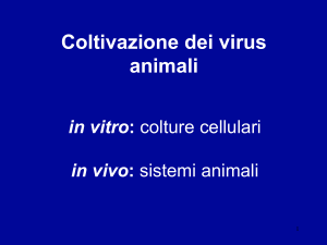 lezione_2,_3_e_4_ - Università degli Studi di Roma "Tor Vergata"