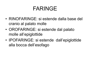 faringe - Corso di Laurea in Infermieristica