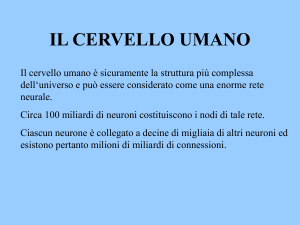 il cervello umano - Digilander