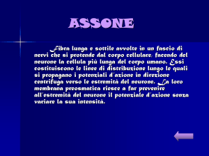 assone - IIS Alessandrini