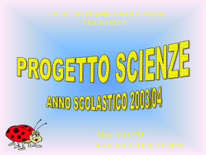 Il lavoro in formato Powerpoint