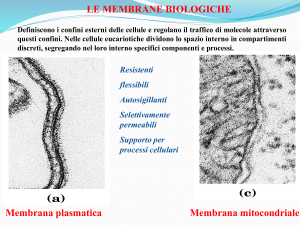 Presentazione di PowerPoint - Progetto e