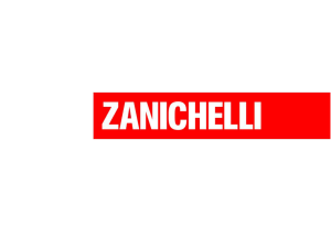 Diapositiva 1 - Zanichelli online