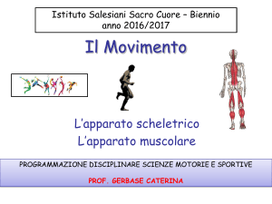 Il Movimento - Salesiani Vomero