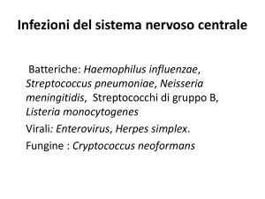 Infezioni del sistema nervoso centrale - e