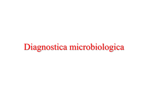 Diagnosi microbiologica File - e