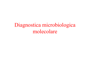 Diagnostica molecolare Archivo - e