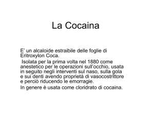 La_Cocaina