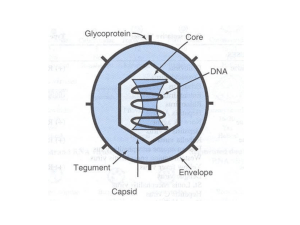 Farmaci antivirali