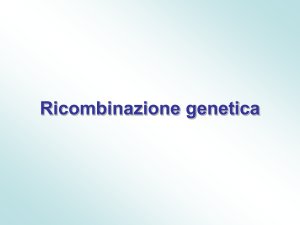 Ricombinazione genetica - Istituto Ven. A. Luzzago