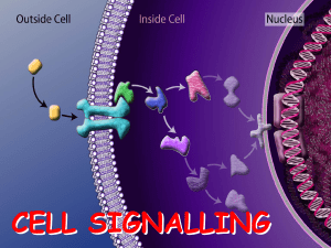 Cell signaling