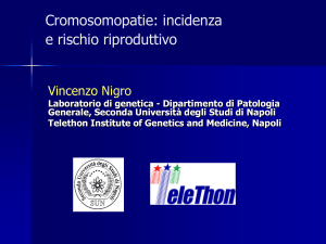 Slide 1 - vincenzonigro.it