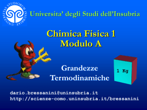 Densita - Università degli Studi dell`Insubria