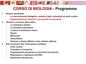 Biologia2_OrganizzazioneProcEuc