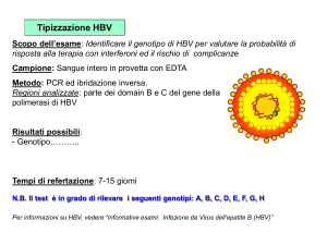 Tipizzazione HBV NB Il test è in grado di rilevare i seguenti genotipi